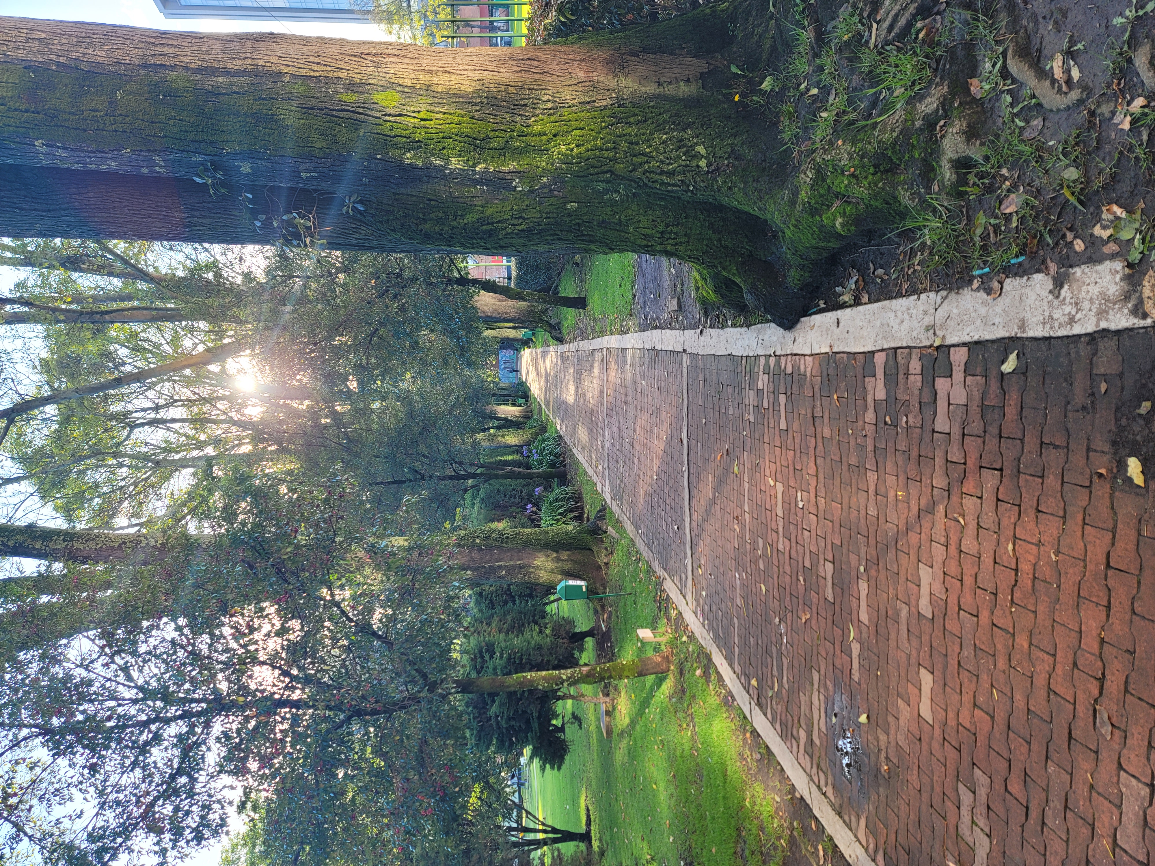 Naturaleza en el C.U.A.N